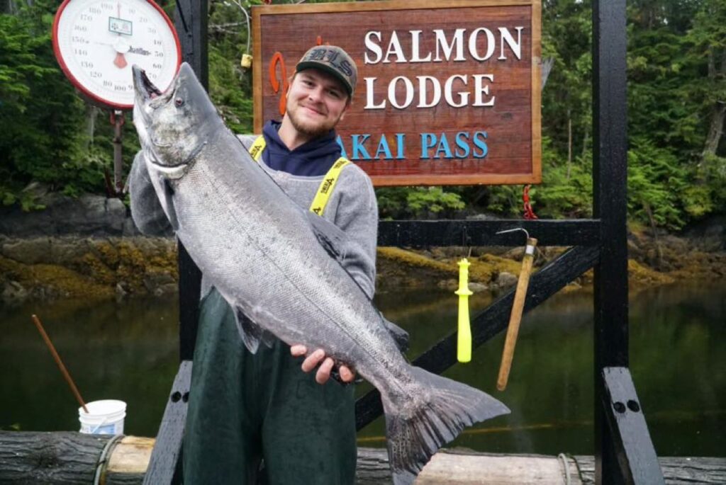 Big Salmon Run in BC