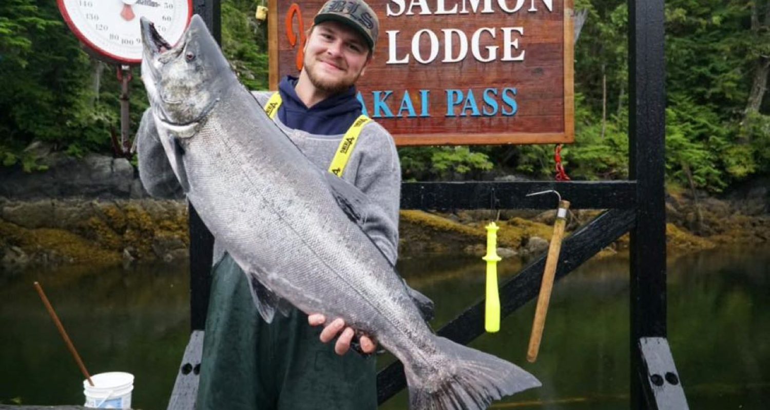 Big Salmon Run in BC